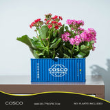 Banboring Blue Shipping Container Model Flowerpot
