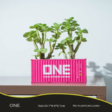 Banboring Rose Shipping Container Model Flowerpot