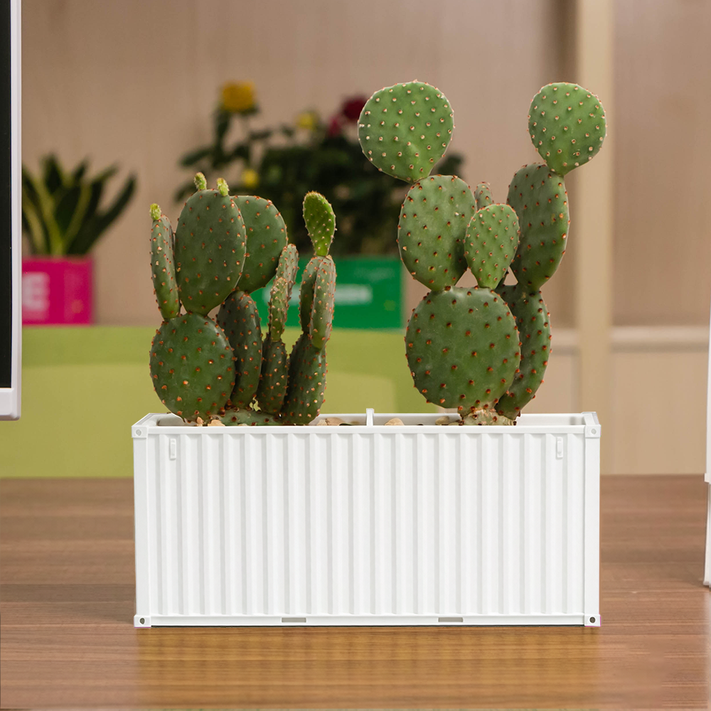 Customization FlowerPot