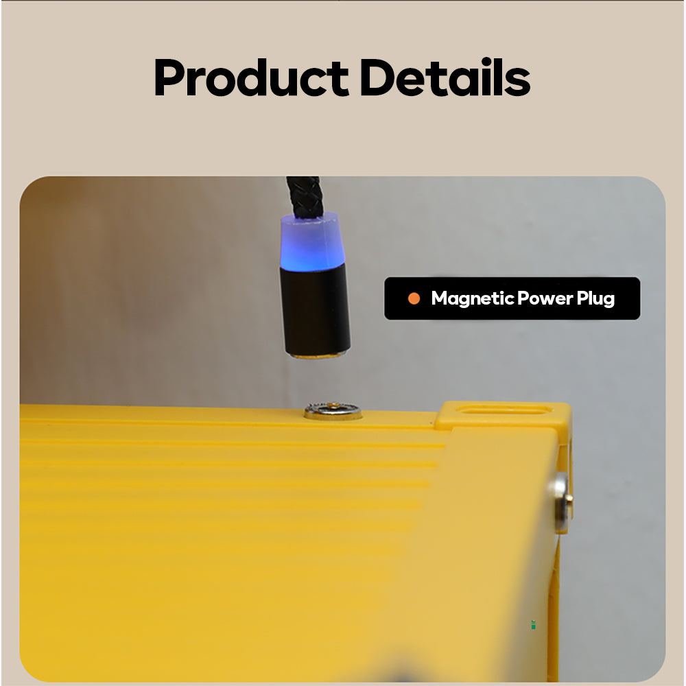 Container LampLight Display Box